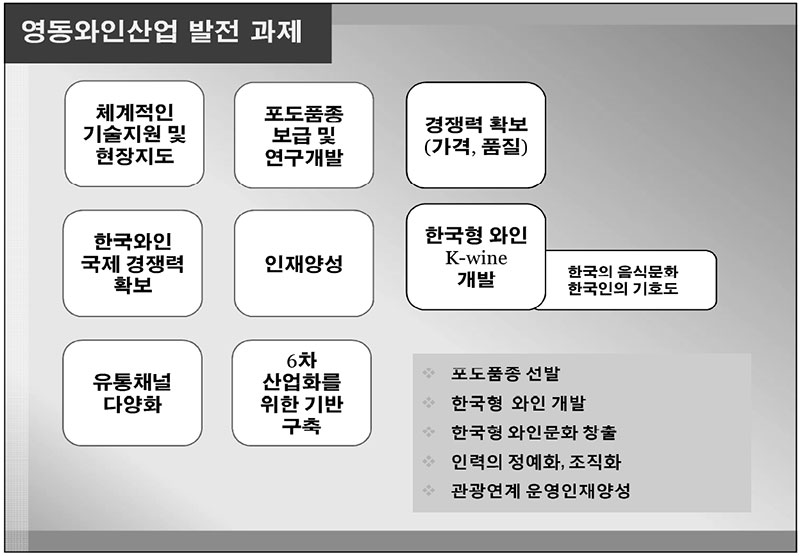 영동와인산업 발전 과제