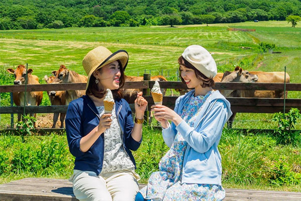 ‘히루젠 고원’ 저지소 우유 아이스크림