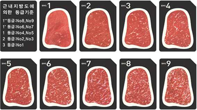 소고기 등급기준