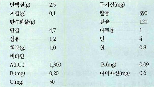 파 영양성분표