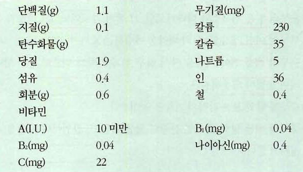 배추 영양성분표