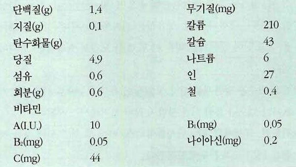 양배추 영양성분표