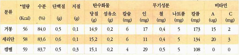 포도 영양성분표