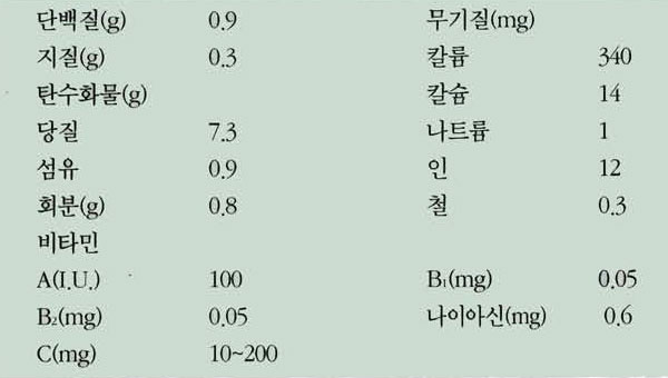 참외 영양성분표