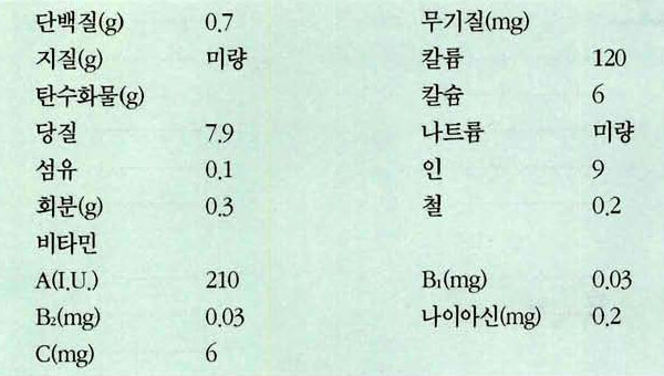 수박 영양성분표