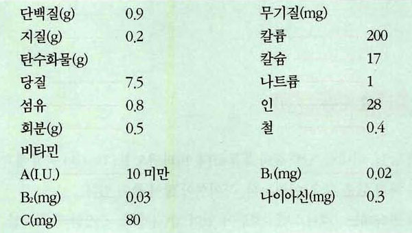 딸기 영양성분표