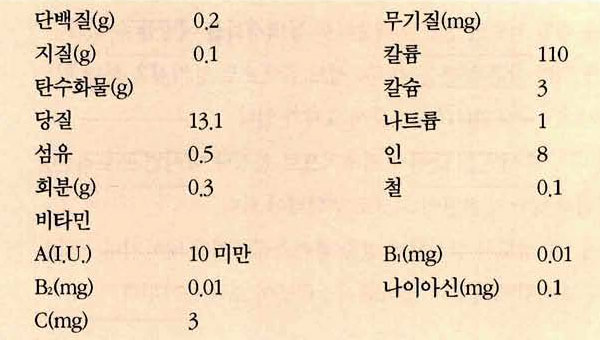 사과 영양성분표