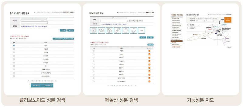 마늘동결건조분말 건강기능식품