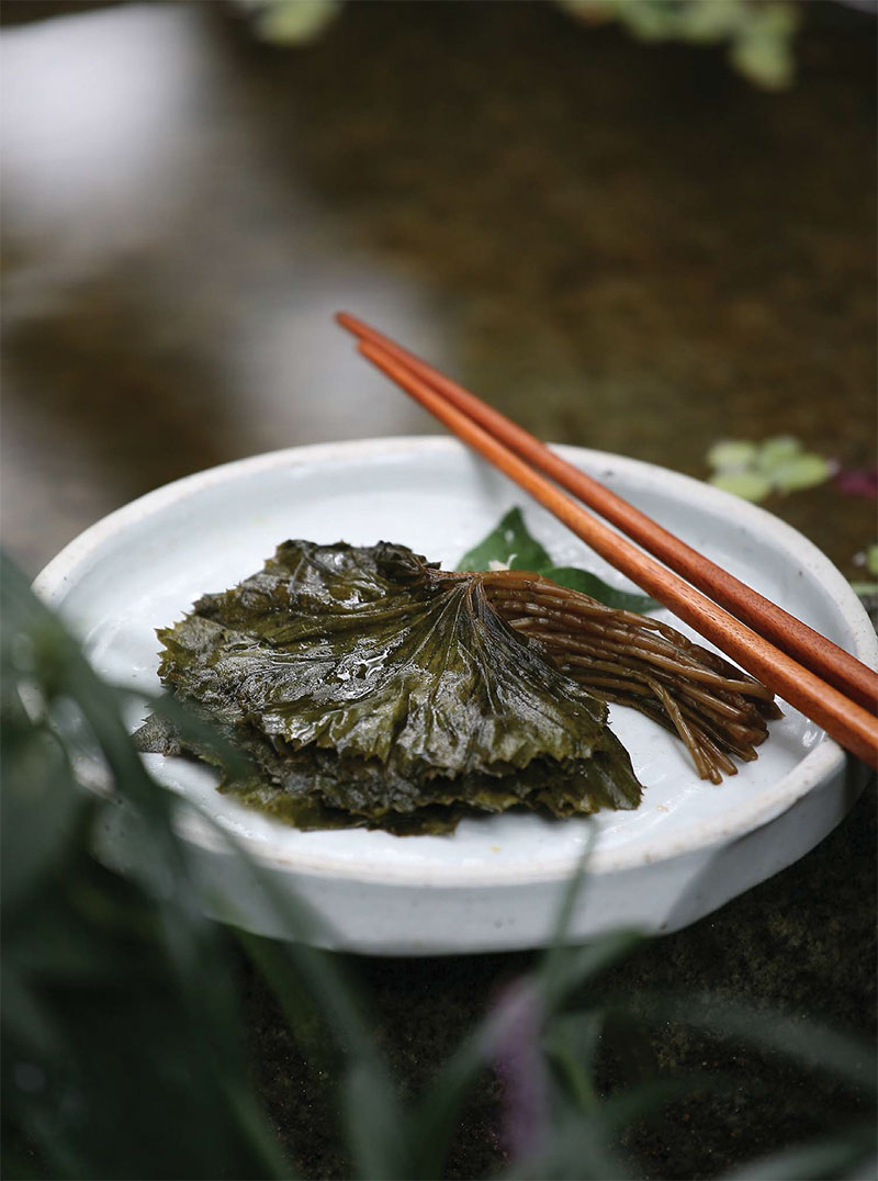 머위장아찌 레시피 완성된 사진