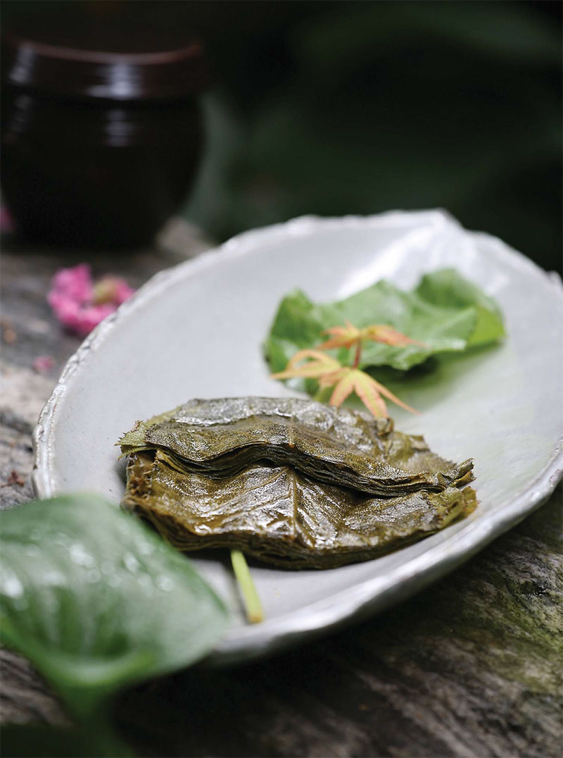 참취장아찌 레시피 완성된 사진