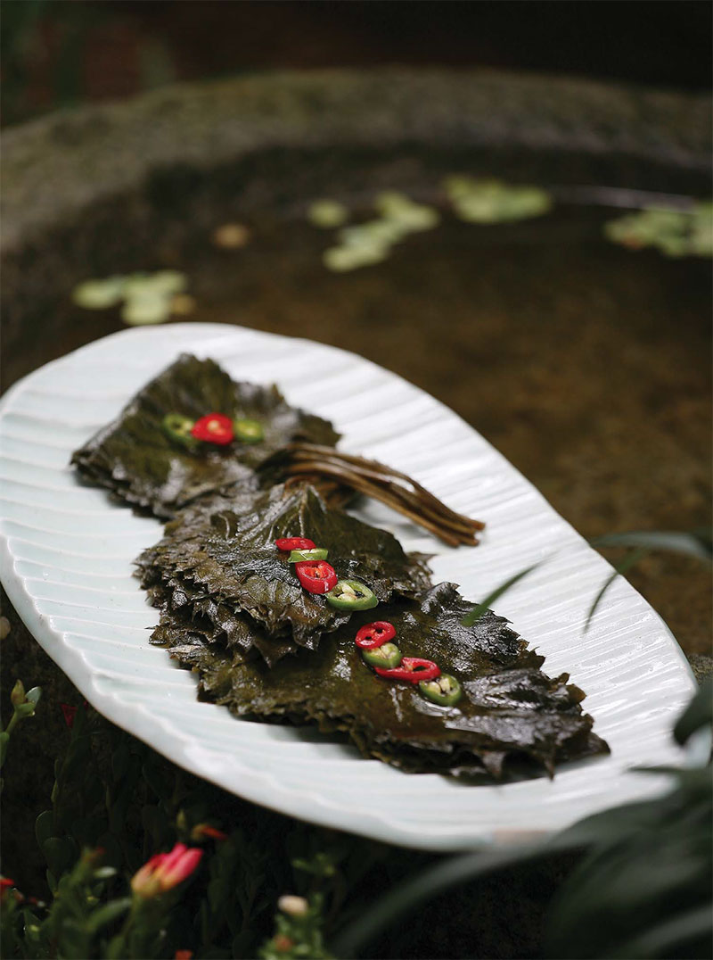 곤드레장아찌 레시피 완성된 사진