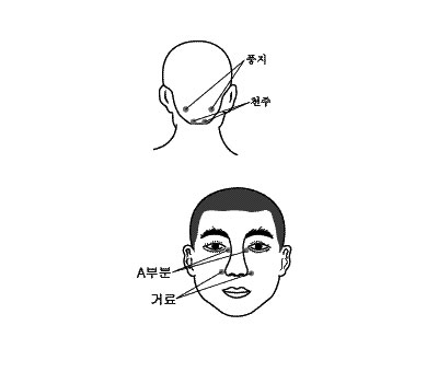 코피가 날 때 지압 하는 순서