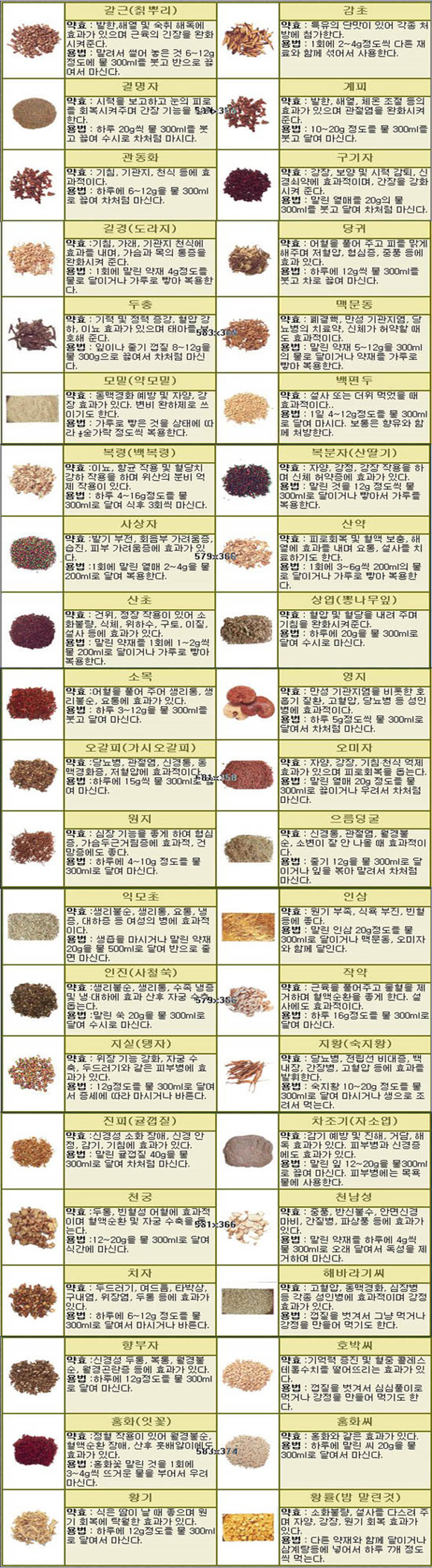 동의보감(東醫寶鑑) 에 나온 산야초 먹는 법