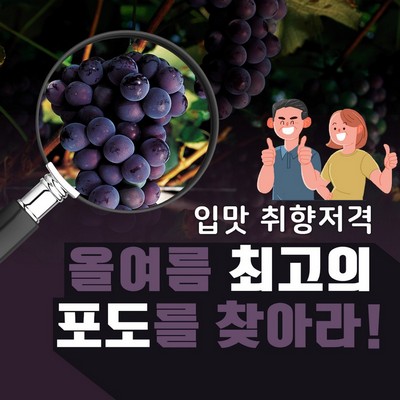 포도는 언제 먹으면 좋을까요?