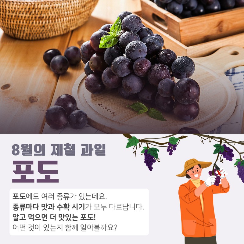 포도는 언제 먹으면 좋을까요? 사진 2번