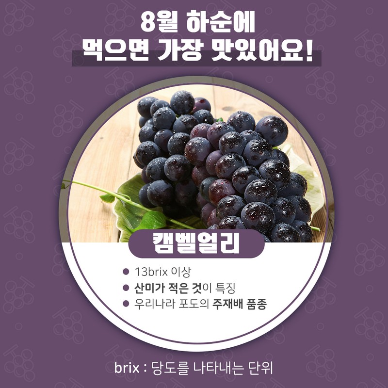 포도는 언제 먹으면 좋을까요? 사진 4번