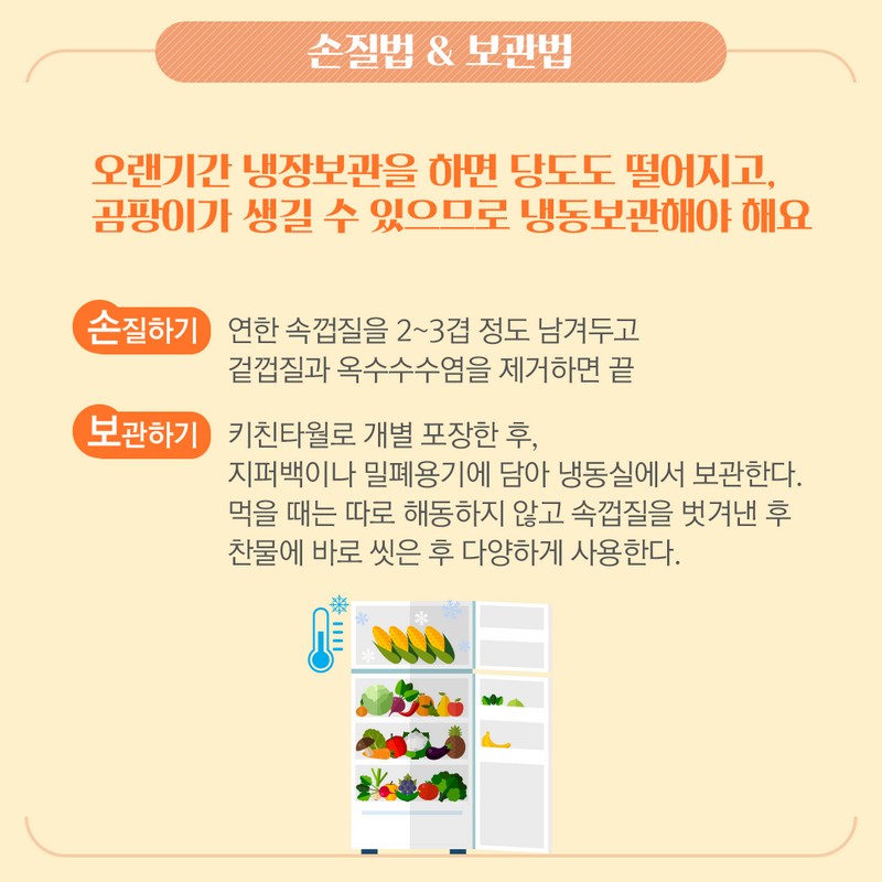 제철을 맞은 ‘초당옥수수’에 대해 알아보아요. 사진 7번