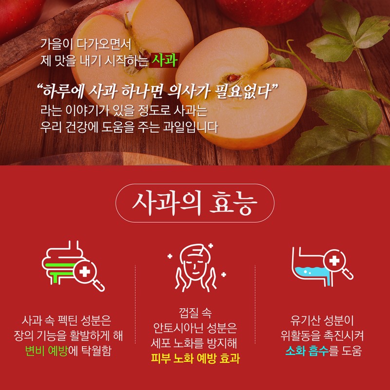 사과의 종류별 수확시기를 통해 가장 맛있는 사과철을 알아보자! 사진 2번