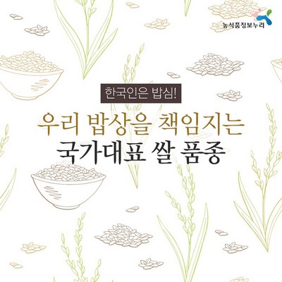 10월 제철농산물로 우리밥상을 책임지는 국가대표 쌀 품종