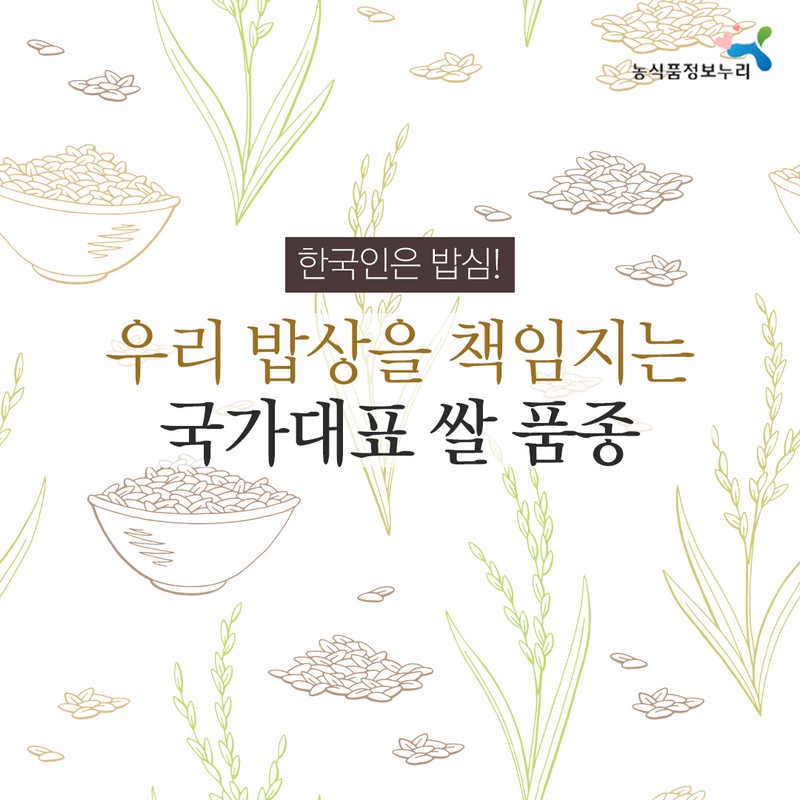 10월 제철농산물로 우리밥상을 책임지는 국가대표 쌀 품종 사진 1번