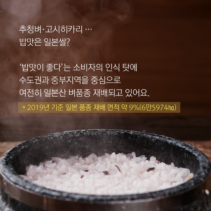 10월 제철농산물로 우리밥상을 책임지는 국가대표 쌀 품종 사진 2번