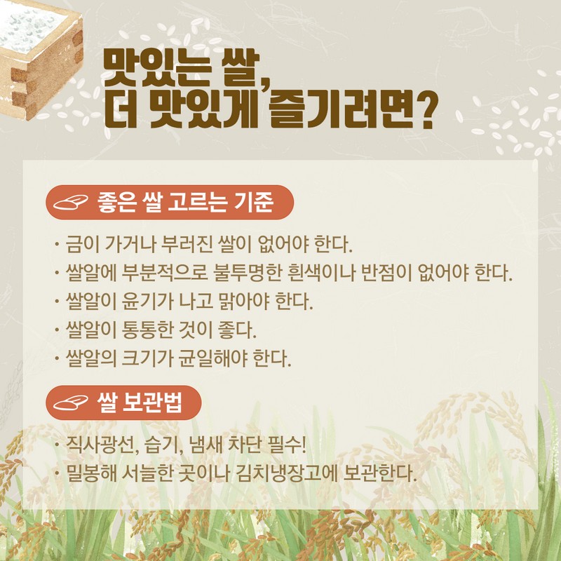 10월 제철농산물로 우리밥상을 책임지는 국가대표 쌀 품종 사진 8번