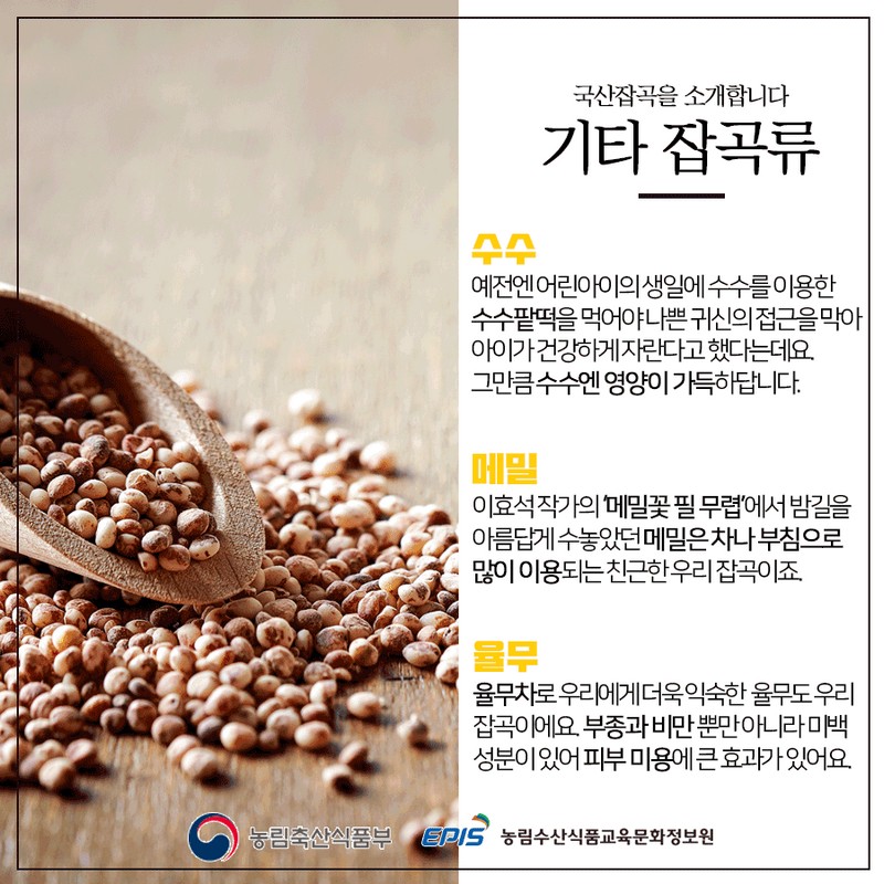 건강에 좋은 우리 잡곡 - 국산잡곡 바로알기 사진 6번