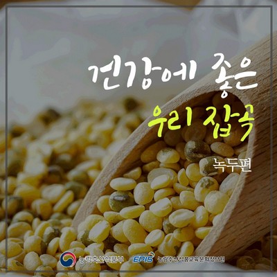 건강에 좋은 우리 잡곡 - 녹두편