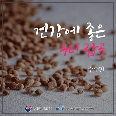 건강에 좋은 우리 잡곡 - 수수편