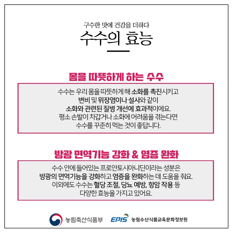 건강에 좋은 우리 잡곡 - 수수편 사진 4번