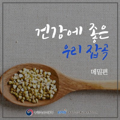 건강에 좋은 우리 잡곡 - 메밀편