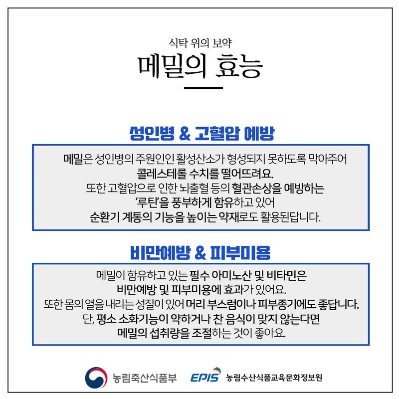 건강에 좋은 우리 잡곡 - 메밀편 사진 4번