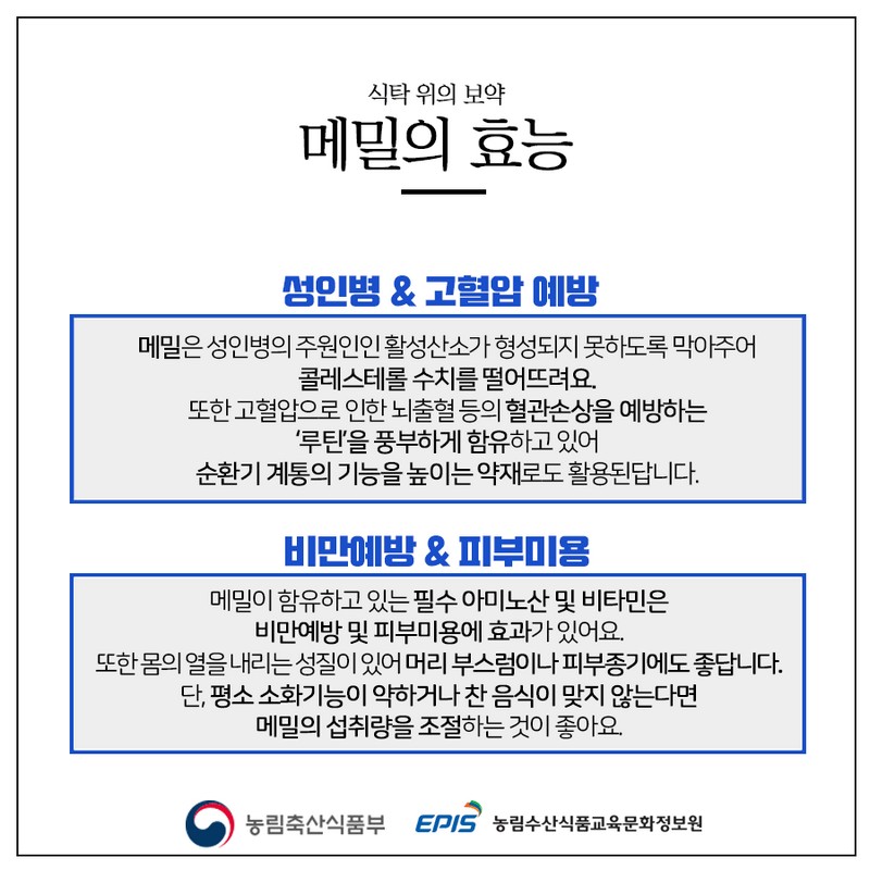 건강에 좋은 우리 잡곡 - 메밀편 사진 4번