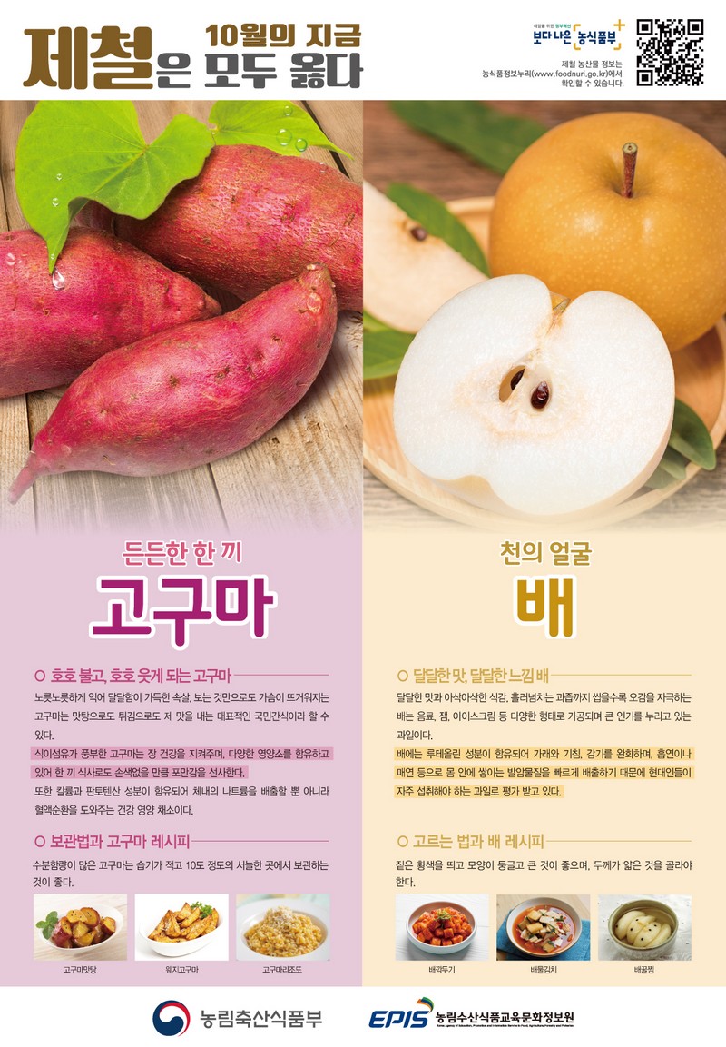 [10월] 고구마, 배 사진 1번