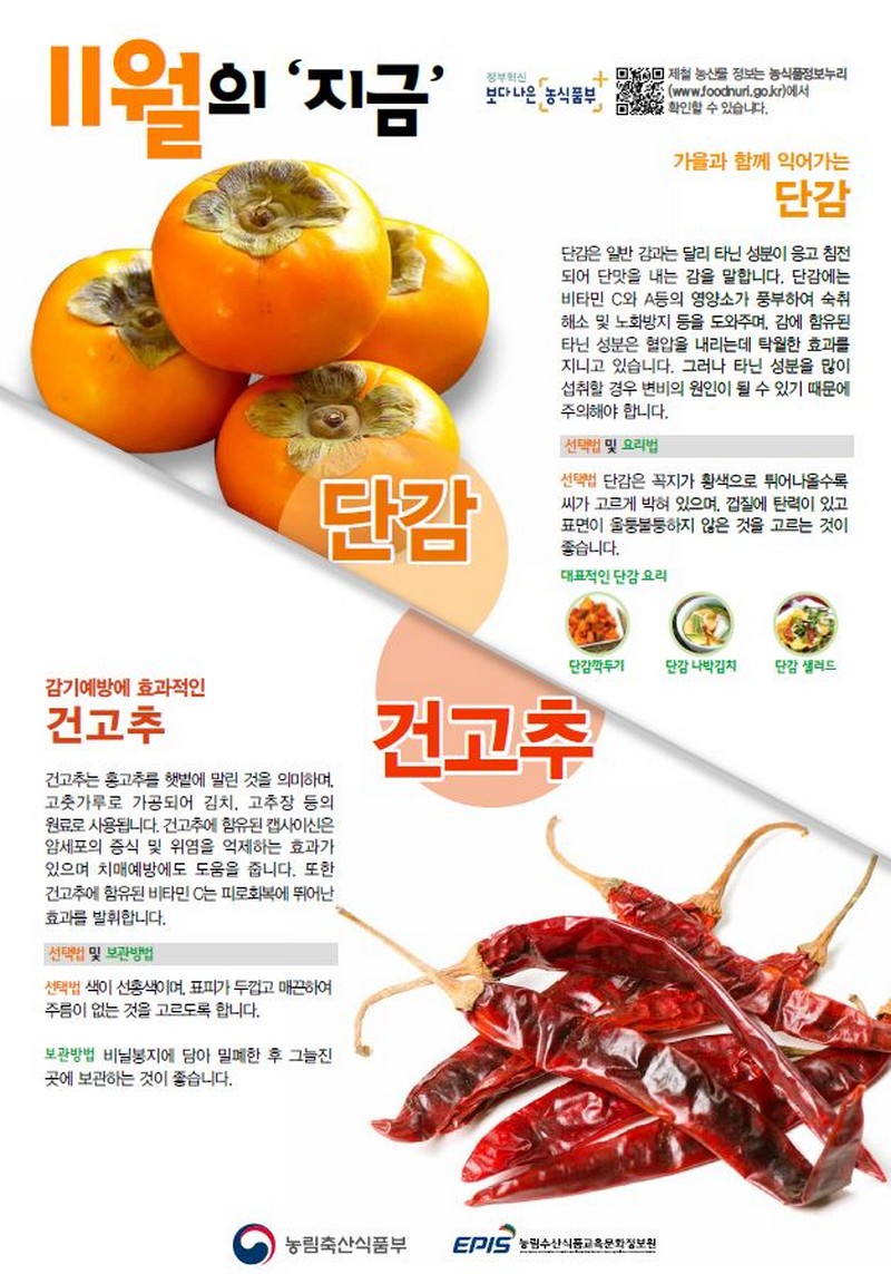 [11월] 단감, 건고추 사진 1번