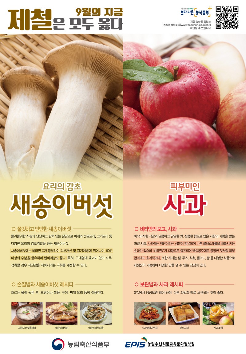 [9월] 새송이버섯, 사과 사진 1번