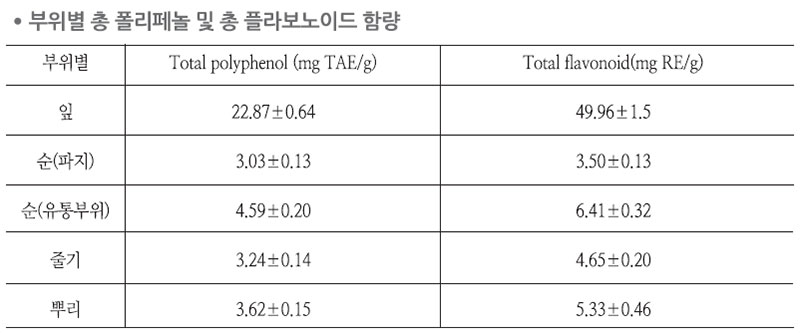 아스파라거스 부위별 총 폴리페놀 및 총 플라보노이드 함량