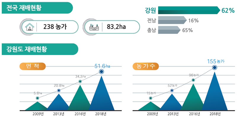 아스파라거스 전국 재배 현황