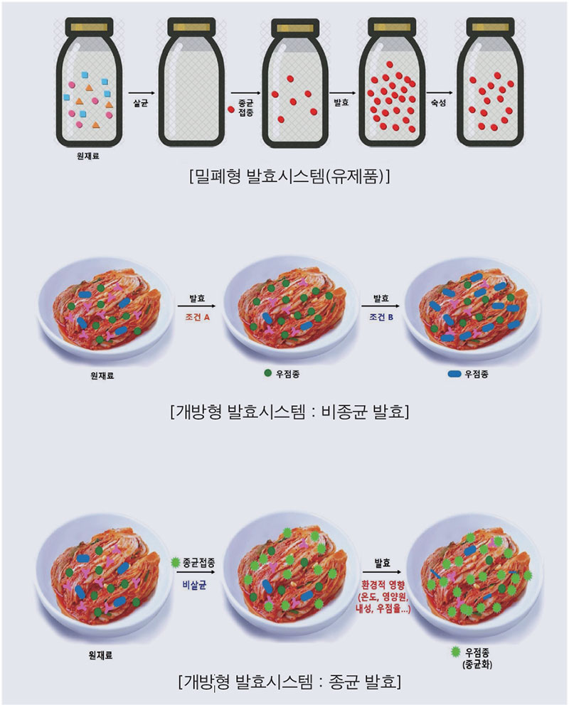 발효시스템에 따른 종균 개념