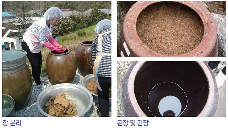 장(醬)류 제조업체 공정별 장 분리, 숙성