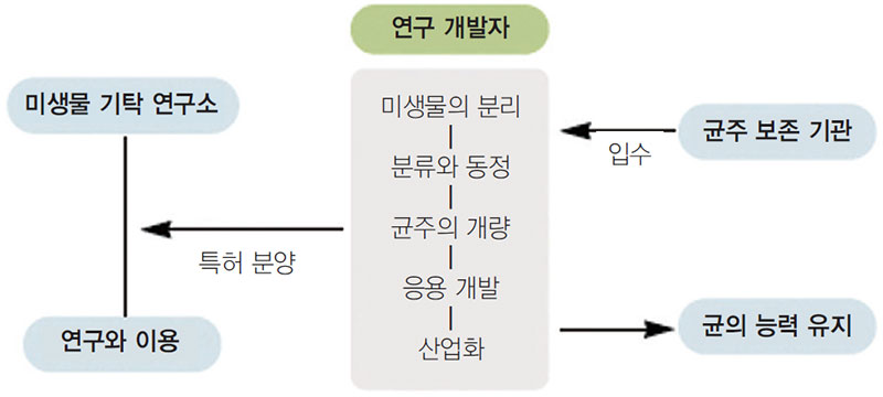 균주 개발과 보존의 상관관계