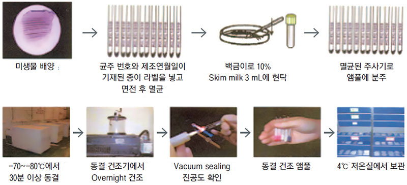 동결 건조 보존법