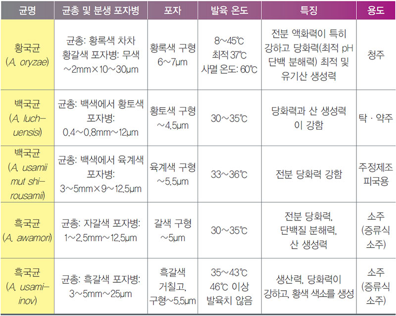 입국 및 주류 제조에 관련된 미생물