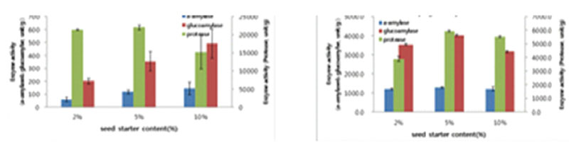 양조용 곰팡이 2종류로 제조한 쌀누룩의 효소활성
