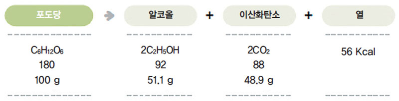 알코올을 생성하는 기본 원리