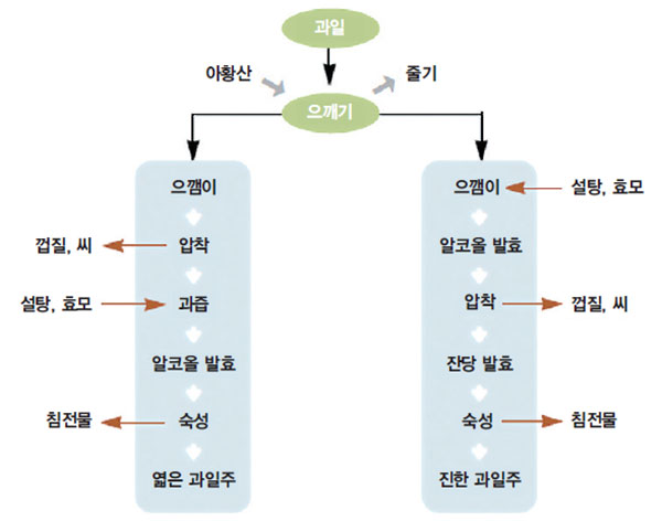 과일주 제조 공정