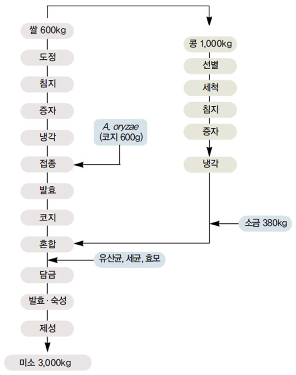 쌀미소의 일반적 제조 공정