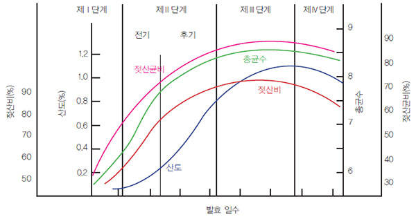 김치의 발효 단계와 특성 변화