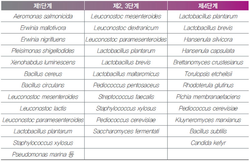 발효 단계별 주요 미생물