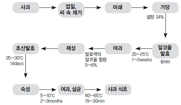 사과식초 제조 공정